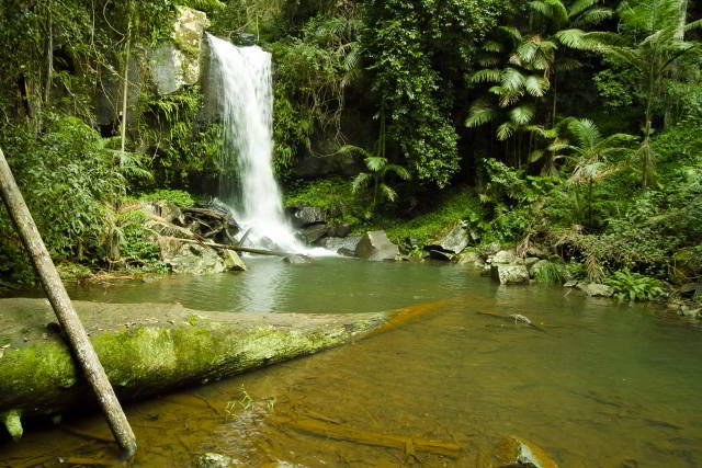 The Jenyns Falls Circuit